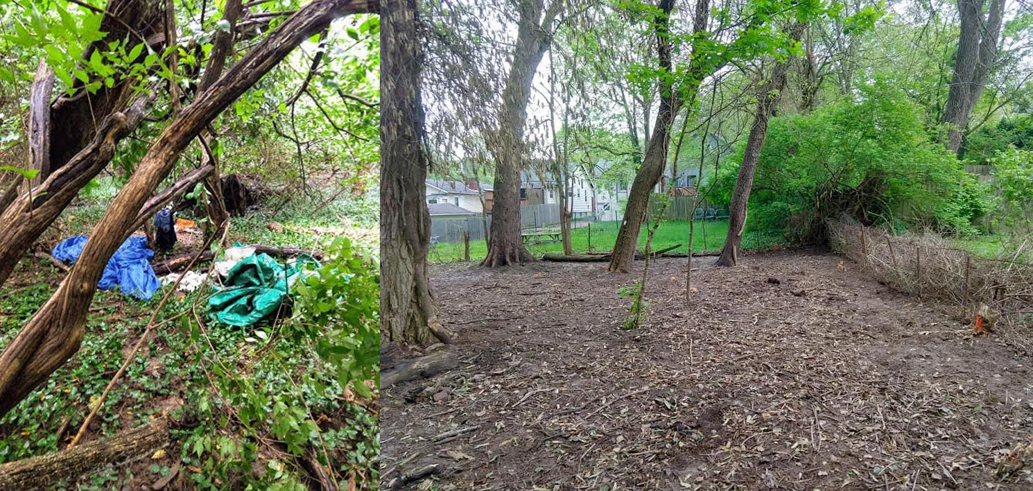  Before and after photos of the changes in Johnson Woods. 